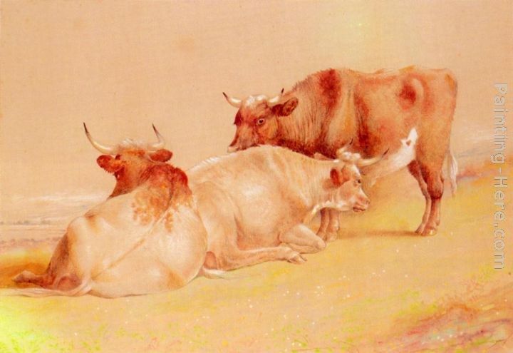 William Huggins Cattle Resting (1 of 2)